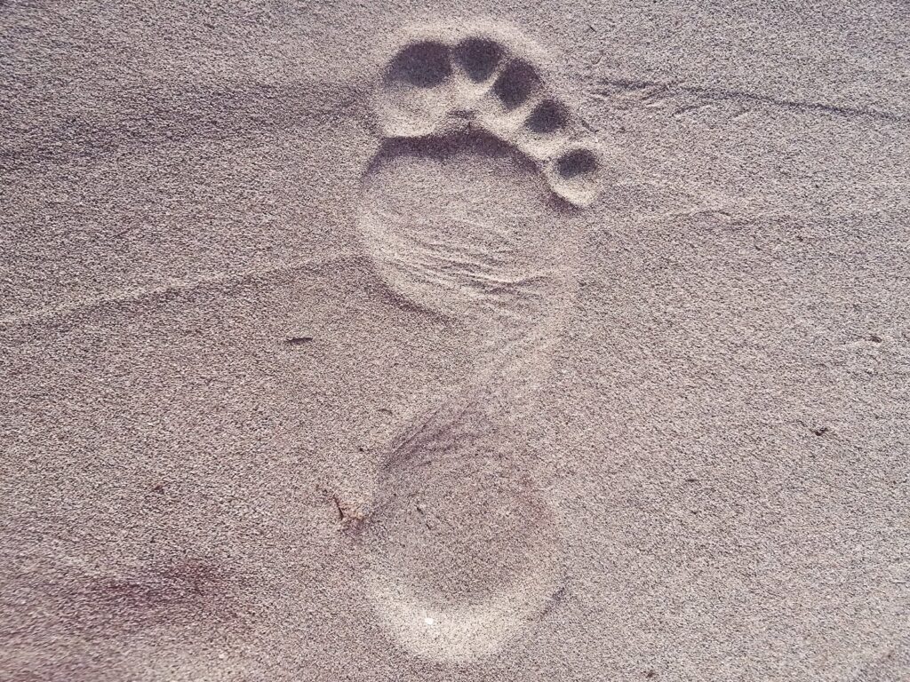 elisariva-footprint-2624609